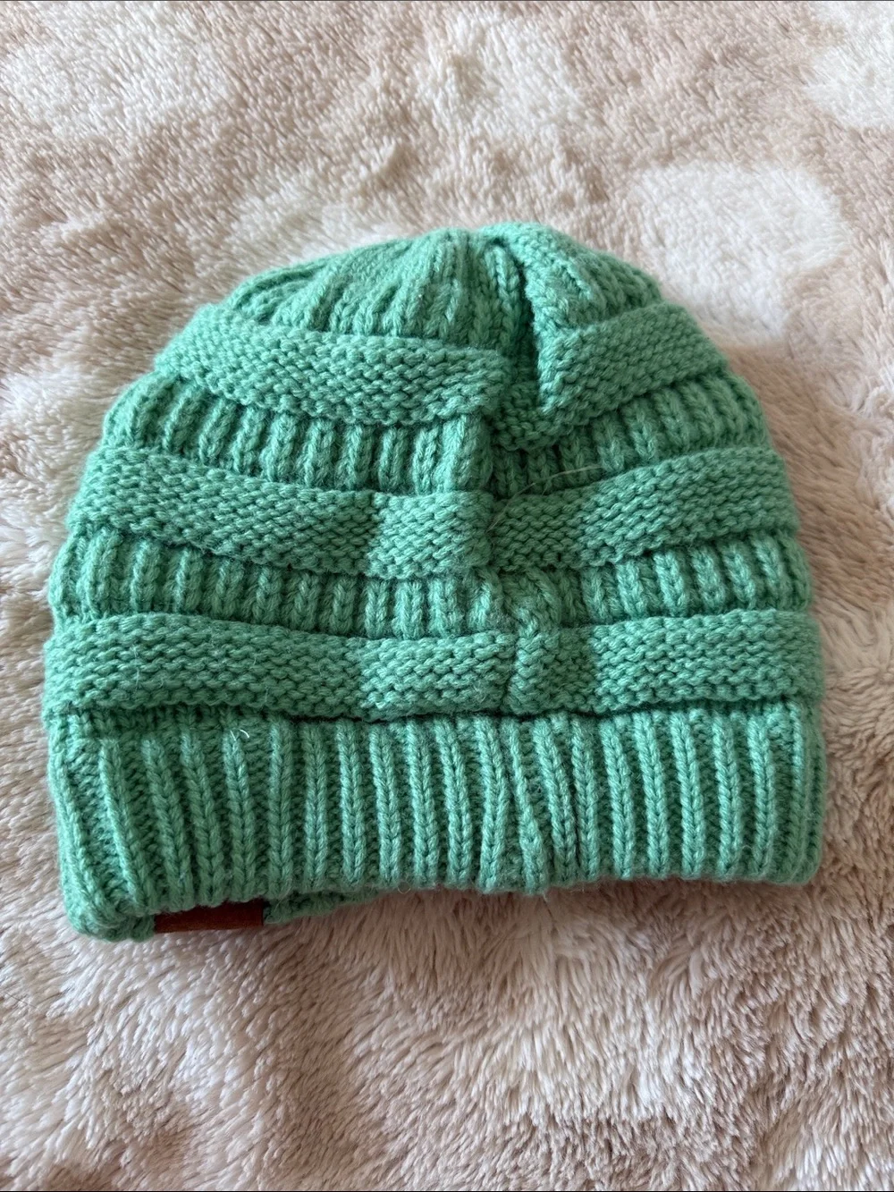 C.C Mint Knit Textured Beanie